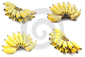 Cultivate banana