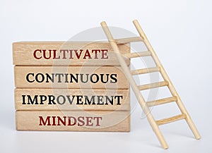 Cultivate continuous improvement mindset text on wooden blocks. Positive mindset concept