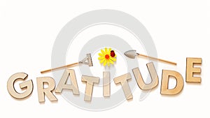 Cultivate Gratitude Concept With Wooden Capital Letters