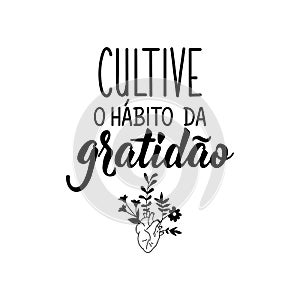 Cultivate the habit of gratitude in Portuguese. Lettering. Ink illustration. Modern brush calligraphy