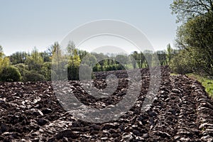 Cultivated agricultural field, spring preparatory work for sowing and planting