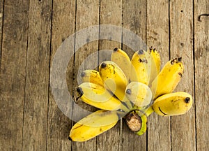 Cultivated banana