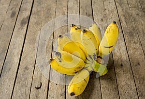 Cultivated banana