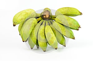 Cultivated banana