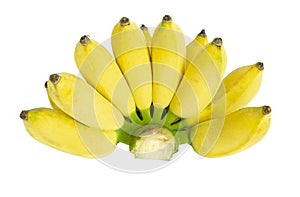 Cultivated banana isolated on a white background, Clipping Path, .Nutrients of bananas have a variety of energy, carbohydrates,