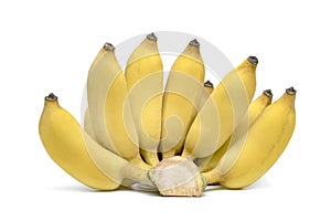 Cultivated banana or Pisang Awak banana isolated on white background
