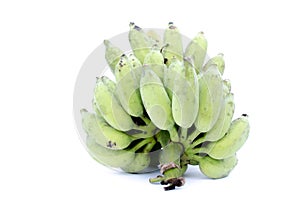 Cultivated banana on white background.