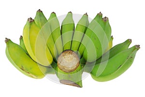 Cultivated banana on white background.