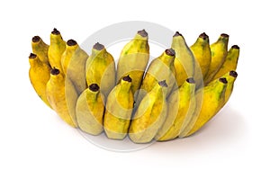 Cultivated banana. white background. clipping path