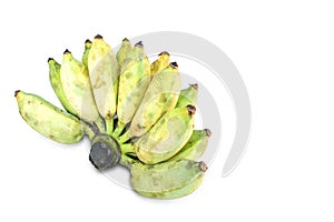 Cultivated banana on white background,Clipping Path.