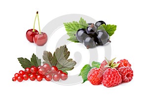 Cultivated berries isolated set