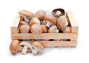 Cultivated brown champignons in wooden crate
