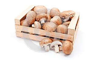 Cultivated brown mushrooms in wooden crate photo