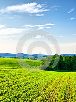 Cultivated countryside