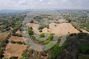 Cultivated farm landscape