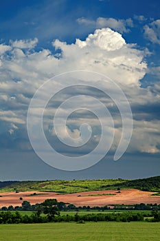 Cultivated field