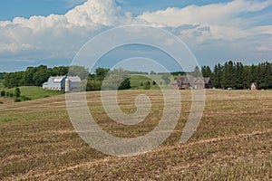 Cultivated  field with harvesting crop