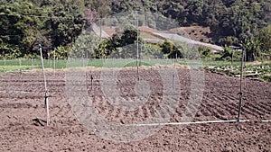 Cultivated field of land with irrigation pipelines in Thailand