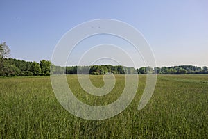 Cultivated field on a sunny day