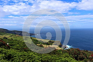 Cultivated fields on alongside ocean cliffs on Terceira