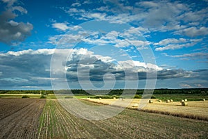 Cultivated fields in eastern Poland, horizon and clouds on the sky