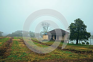 Cultivated fields and farmhouse in a foggy day