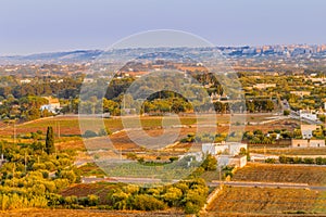 Cultivated fields in the Itria Valley in Puglia