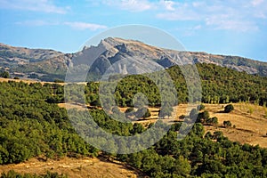 Cultivated fields and orchards, Greece