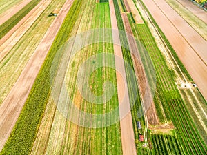 Cultivated fields seen from the bird`s eye view. Rural landscape from the air. Lines and colors.