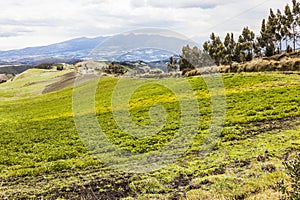 Cultivated fields on slopes