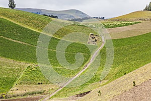 Cultivated fields on slopes