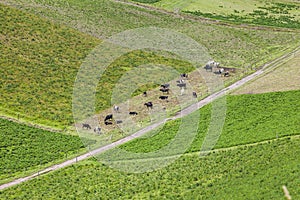 Cultivated fields on slopes