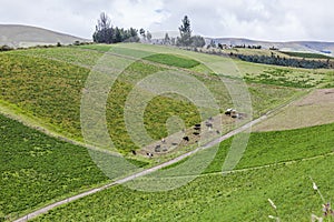 Cultivated fields on slopes