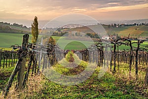 Cultivated fields and vineyards in the southwest of Bologna