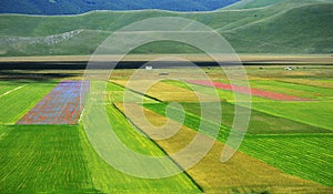 Cultivated and flowery fields of Castelluccio di Norcia