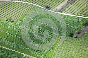 Cultivated land from above