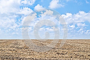 Cultivated land, blue sky