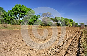 Cultivated land and ridges sets