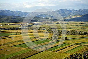 Cultivated land in a rural landscape