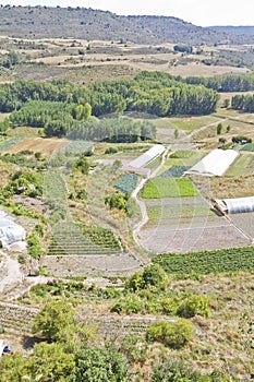 Cultivated land in a rural landscape