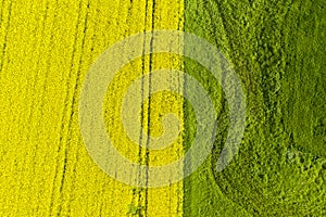 Cultivated land in two colors