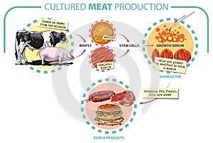 Cultivated meat