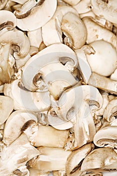 Cultivated mushroom