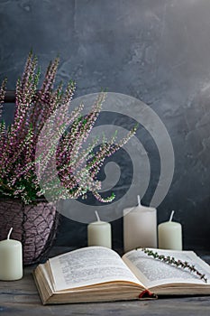 Cultivated potted pink calluna vulgaris or common heather flowers standing on wooden background with an old book