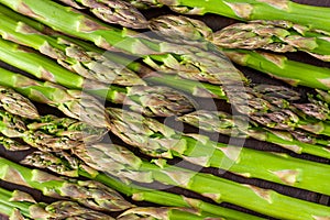 Cultivated, raw and fresh young green asparagus