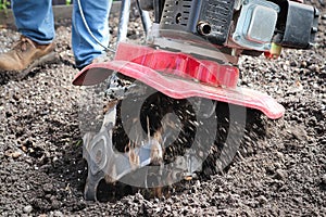 Cultivating garden soil in the spring with a rototiller