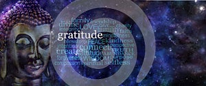 Cultivating Gratitude Meditation Banner