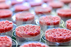 Cultivating lab-grown meat, stem cell-based process for future protein food revolution