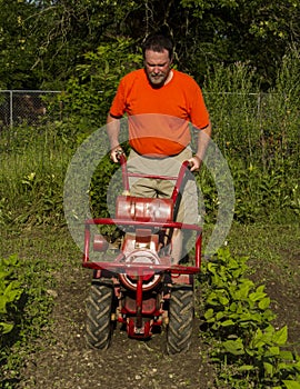 Cultivating Between Rows With A Garden Tiller