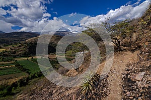 cultivation fields with snowy mountain in the background and road with tree and cactus photo